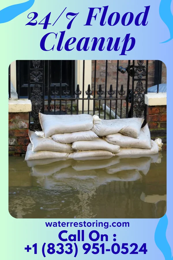24/7 Flood Cleanup in Dungannon, VA