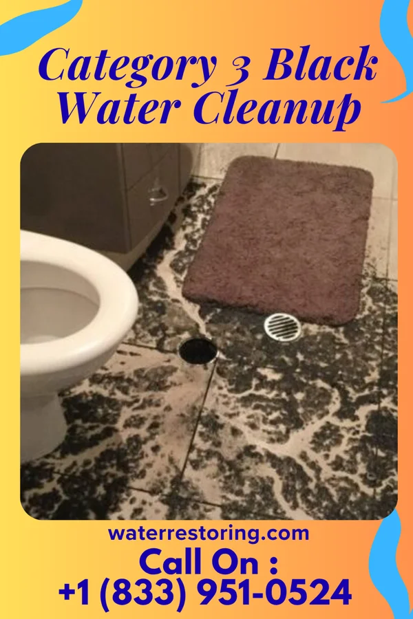 Category 3 Black Water Cleanup in Dungannon, VA