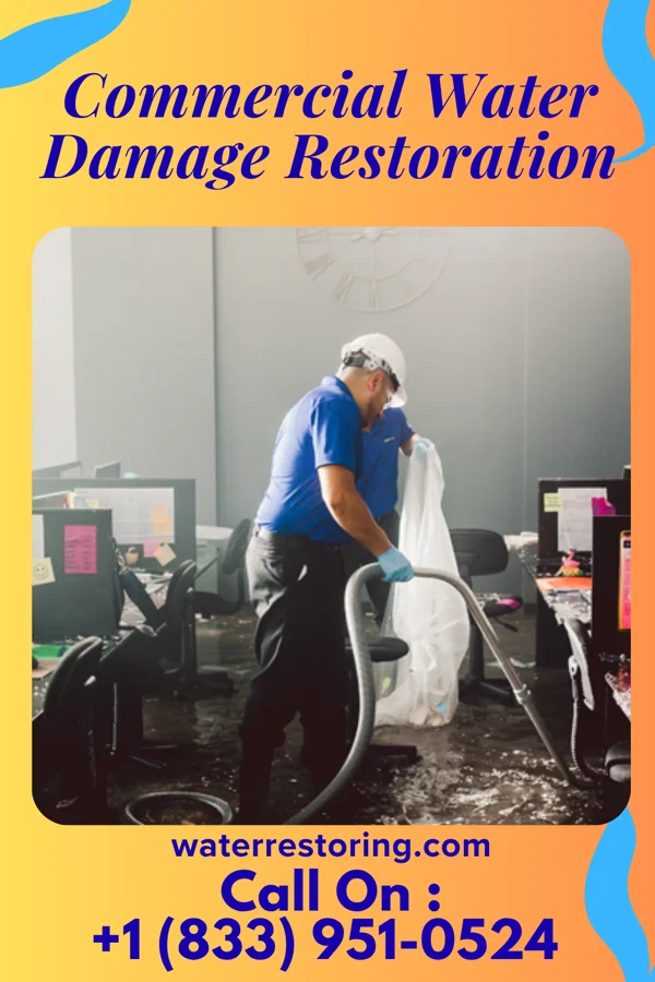 Commercial Water Damage Restoration in Dungannon, VA