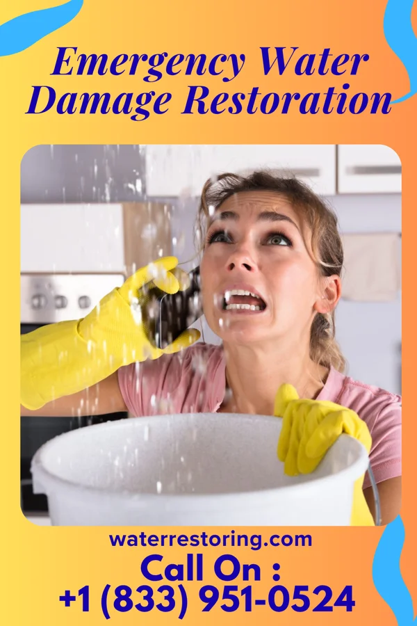 Emergency Water Damage Restoration in Dungannon, VA