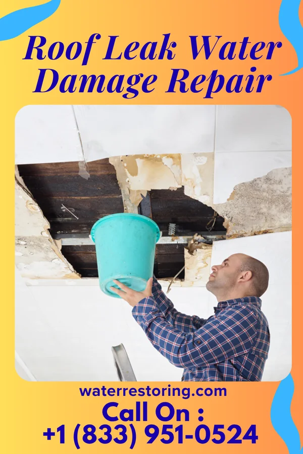 Roof Leak Water Damage Repair in Dungannon, VA
