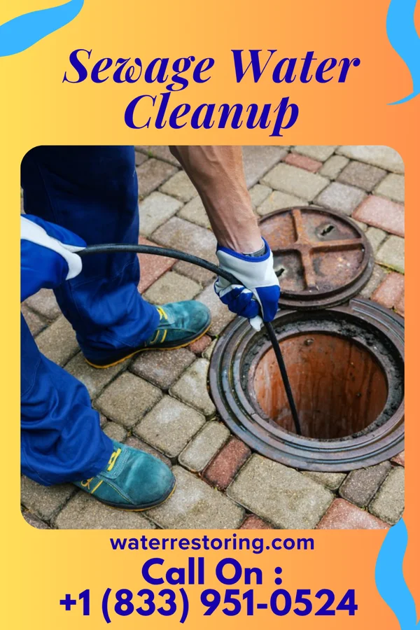 Sewage Water Cleanup in Dungannon, VA